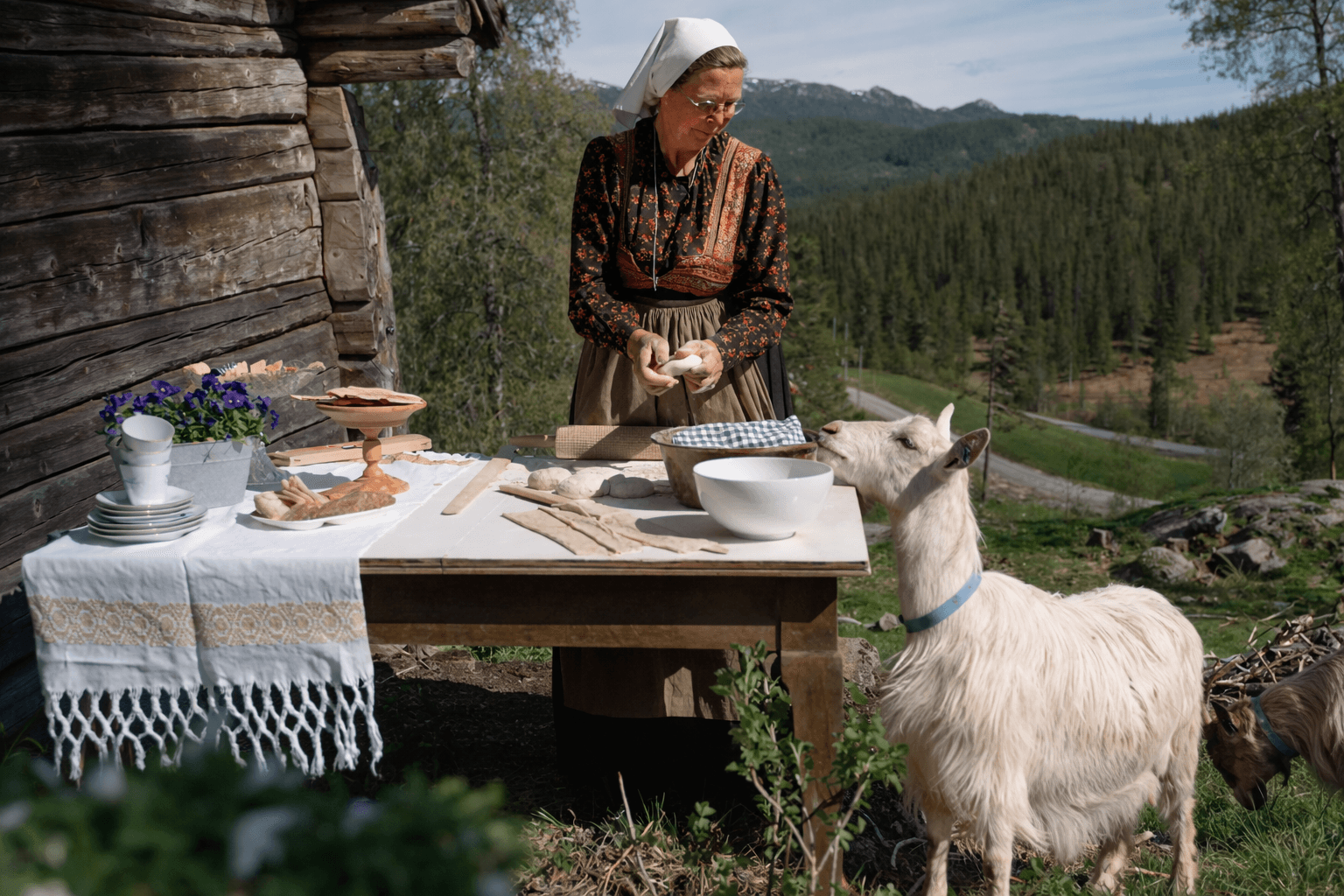 Tradisjonelt norsk ysteri med geit og handverksost i naturskjønne Rauland, Telemark